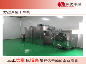 FZG方形靜態(tài)真空干燥機